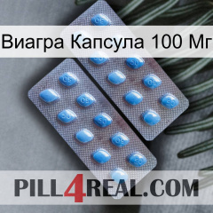 Виагра Капсула 100 Мг viagra4